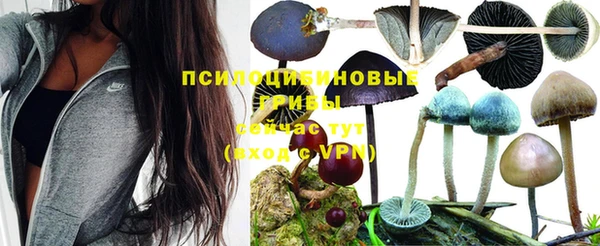 спайс Аркадак
