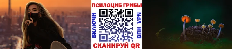 Галлюциногенные грибы GOLDEN TEACHER  Мытищи 